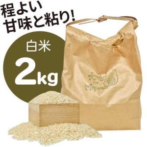 ふるさと納税 【12回定期便】蔬菜定期便 お米と時季のやさい 8作目 蔬菜 定期便 / ながさき南部地方 [SBW015] 長崎県南島原市