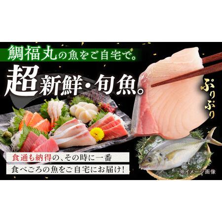 ふるさと納税 【五島列島直送】朝獲れ鮮魚セット2kg 五島市/鯛福丸水産