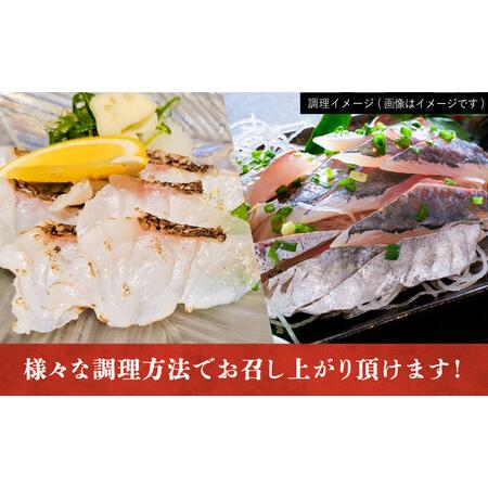 ふるさと納税 【五島列島・直送】朝獲れ!鮮魚セット2kg 鯛福丸 ふるさと納税 【五島列島・直送】朝獲れ!鮮魚セット2kg 鯛福丸