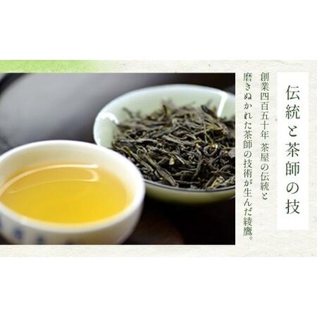 ふるさと納税 98_5-01 綾鷹525mlPET＋爽健美茶600mlPET　各1ケースセット　6カ月定期便 佐賀県鳥栖市 食品 ドリンク、水、お酒 緑茶、日本茶