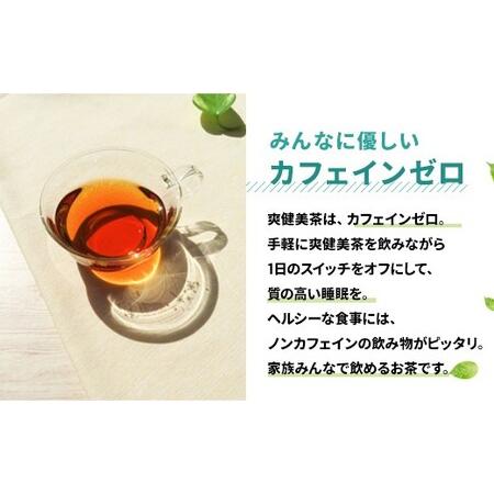 ふるさと納税 98_5-01 綾鷹525mlPET＋爽健美茶600mlPET　各1ケースセット　6カ月定期便 佐賀県鳥栖市 食品 ドリンク、水、お酒 緑茶、日本茶