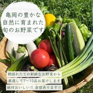 ふるさと納税 訳あり 新鮮 季節の野菜 セット 7〜10品目 ※北海道・沖縄・離島への配送不可 農家直送 朝採れ 亀岡 佐伯の里 京都丹波産 家計応援.. 京都府亀岡市｜furunavi｜02