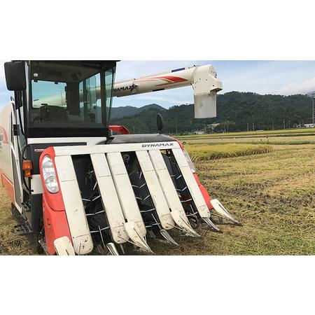 ふるさと納税 令和7年産 福井県若狭町 つきあかり （一等米） 10kg（神谷農園） 5kg×2袋 お米 ブランド米 銘柄米 ご飯 おにぎり お弁当 産.. 福井県若狭町_3