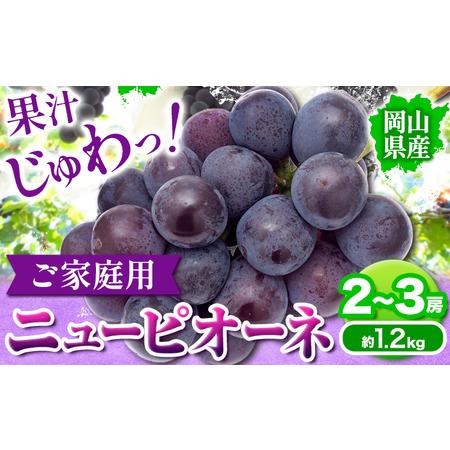ふるさと納税 岡山県産 ニューピオーネ ご家庭用 1.2kg 2 ~ 3房 テレビせとうち株式会社[8月末-10月中旬頃出荷]岡山県 浅口市 ぶどう 葡萄 大.. 岡山県浅口市