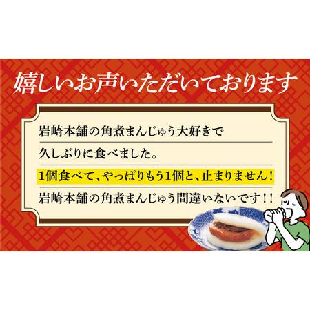 ふるさと納税 長崎大とろ角煮まんじゅう 10個 [DBG012] 角煮まんじゅう 惣菜 長崎 長崎県小値賀町の画像
