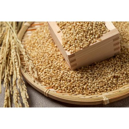 ふるさと納税 650P9002　【定期便12ヶ月】秋田県産米「あきたこまち（玄米）」 10kg（5kg×2袋） 秋田県大館市 ふるさと納税 650P9002　【定期便12ヶ月】秋田県産米「あきたこまち（玄米）」 10kg（5kg×2袋） 秋田県大館市