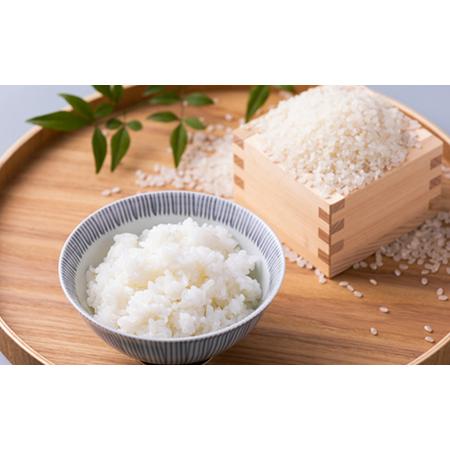 ふるさと納税 青天の霹靂(5kg&times;2袋)　合計10kg_米 こめ お米 おこめ 精米 特A 青天の霹靂 5kg ブランド米 10kg 人気 おすすめ 送料無料 贈答.. 青森県黒石市