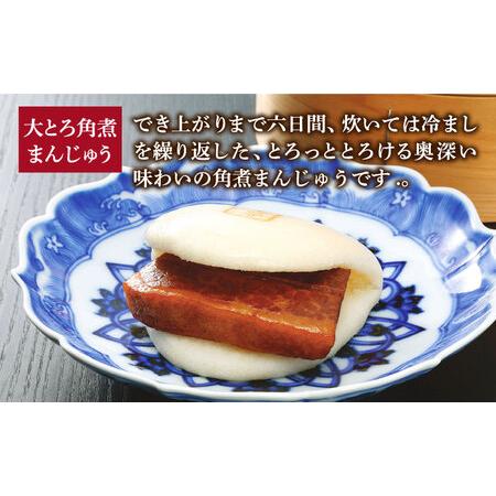 ふるさと納税 【全3回定期便】＜月替り！＞角煮まんじゅう 2種 お楽しみセット （角煮まんじゅう8個・大とろ角煮まんじゅう8個）  [DBG067] 長崎県小値賀町の画像