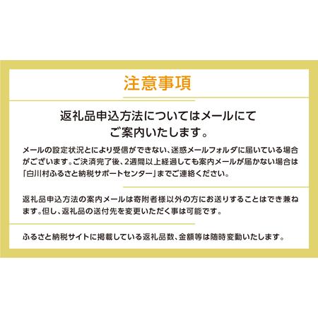 ふるさと納税 ＼あとから選べる ／オンラインカタログ あとからチョイス 2万円 20000円 有効期限なし 後から選べる 飛騨牛 結旨豚 肉 総菜 スイ.. 岐阜県白川村 |  | 03