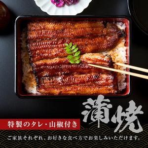 ふるさと納税 のし対応可能 国産 うなぎ 「坂東太郎 使用」 蒲焼 5串 小サイズ 80g前後×5パックmi0058-0004 千葉県南房総市_3