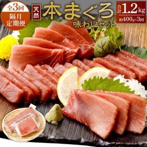 ふるさと納税 [定期便/計3回]天然本マグロ 400g(天身・中トロ) [まぐろ]tk171 FN-Limited-PR 高知県室戸市