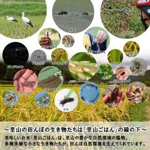 ふるさと納税 米 【令和6年産】 キヌヒカリ 10kg (5kg×2)精米 奥播州源流 芥田川産 芥田川 農家直送 10キロ 国産米 きぬひかり 贈り物 喜ば.. 兵庫県加西市｜furunavi｜04