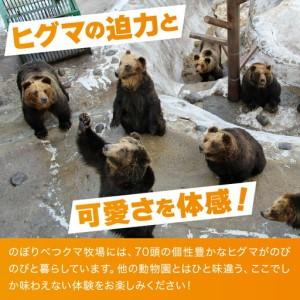 ふるさと納税 幟旗べつ熊採草地立ち入り券 成年者（中学生以上）1名様 北海道登別市