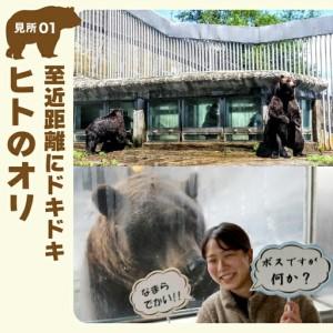 ふるさと納税 幟旗べつ熊採草地立ち入り券 成年者（中学生以上）1名様 北海道登別市