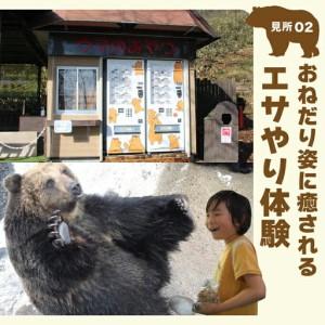 ふるさと納税 幟旗べつ熊採草地立ち入り券 成年者（中学生以上）1名様 北海道登別市