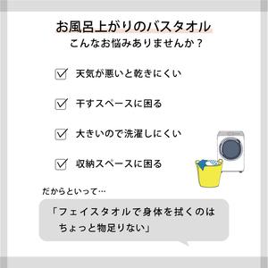 ふるさと納税 ライク ギフトセット　ワンサイズタオル３枚　[I000660] 愛媛県今治市_4