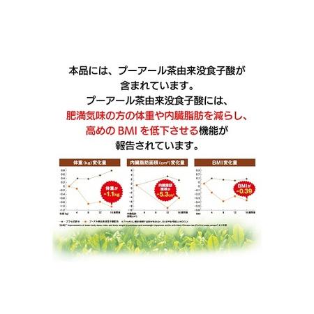 ふるさと納税 048-87 国産プーアール茶 SARYU-SOSO（2g×30ティーバッグ）×2袋セット 〈機能性表示食品〉 静岡県牧之原市の画像