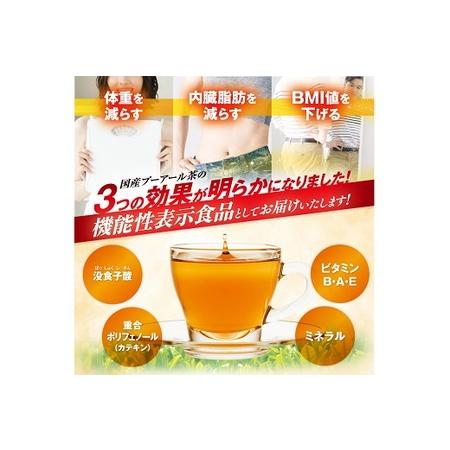 ふるさと納税 048-88 国産プーアール茶 SARYU-SOSO（5g×10ティーバッグ）×2袋セット 〈機能性表示食品〉 静岡県牧之原市の画像