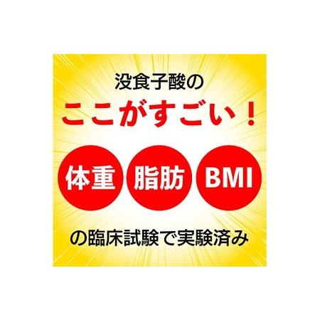 ふるさと納税 048-88 国産プーアール茶 SARYU-SOSO（5g×10ティーバッグ）×2袋セット 〈機能性表示食品〉 静岡県牧之原市の画像