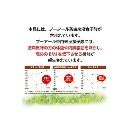 ふるさと納税 048-88 国産プーアール茶 SARYU-SOSO（5g×10ティーバッグ）×2袋セット 〈機能性表示食品〉 静岡県牧之原市の画像