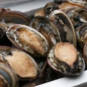 時間指定不可 ふるさと納税 ｙｊ０８９室戸産トコブシ ながれこ １ｋｇ 冷凍 高知県室戸市 受賞店舗 Khaskhabar Online