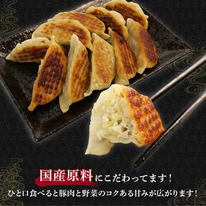 ふるさと納税 冷凍餃子 120個 餃子 国産豚肉 ぎょうざ ギョーザ 静岡県藤枝市_1