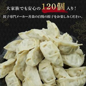 ふるさと納税 冷凍餃子 120個 餃子 国産豚肉 ぎょうざ ギョーザ 静岡県藤枝市_3