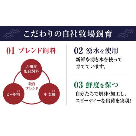 ふるさと納税 【全12回定期便】赤身 馬刺し 食べ比べ セット 約420g【有限会社 九州食肉産業】熊本県 特産品 馬肉 純国産 赤身馬刺し [ZDQ025] 熊本県山鹿市の画像