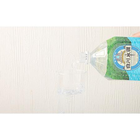 ふるさと納税 【3か月連続定期便】日本名水百選ミネラルウォーター「南阿蘇・白川水源」2L×6本入り2ケース×3か月 熊本県_2