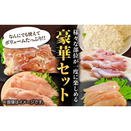 【新入荷】 ふるさと納税 【12回定期便】肥後のうまか 赤鶏 5種食べ比べセット（もも、ささみ、むね肉、手羽中、天玉チキン）【山内飼料 株式会社 熊本営業.. 熊本県山鹿市 【HOV1771812804】(62400円)