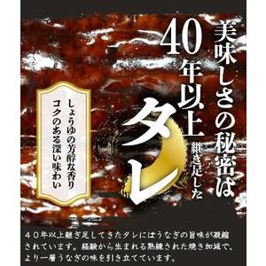 ふるさと納税 大型サイズ　ふっくら柔らか　国産うなぎ蒲焼き　2尾　化粧箱入【土用の丑の日のうなぎ】【〜7月24日までにお届け】【UT05】 和歌山県印南町｜furunavi｜04