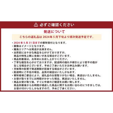 ふるさと納税 【2024年5月下旬発送開始】熊本県産 スイートコーン 約3.5kg 熊本県｜furunavi｜05