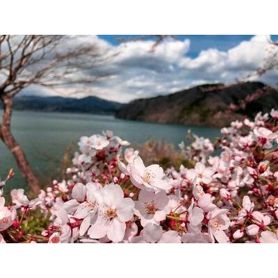 正規品 ふるさと納税 【栗原市】JTBふるぽWEB旅行クーポン（30，000円分） 宮城県栗原市 【CEG1419719032】(50000円)