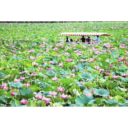 正規品 ふるさと納税 【栗原市】JTBふるぽWEB旅行クーポン（30，000円分） 宮城県栗原市 【CEG1419719032】(50000円)