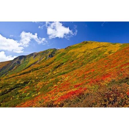 正規品 ふるさと納税 【栗原市】JTBふるぽWEB旅行クーポン（30，000円分） 宮城県栗原市 【CEG1419719032】(50000円)