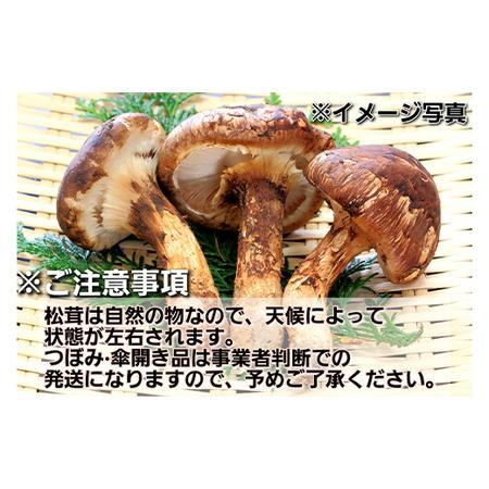 ふるさと納税 秋の味覚 三陸山田産松茸 約120g 三陸山田 山田町 
