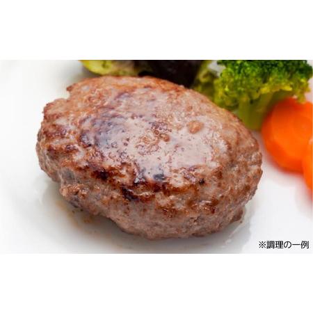 新品未使用！ ふるさと納税 「定期便6ヶ月」やみつき玉ねぎの淡路牛100％ハンバーグ（150ｇ×10個）×6ヶ月 兵庫県南あわじ市 【YW6533539137】(23010円)