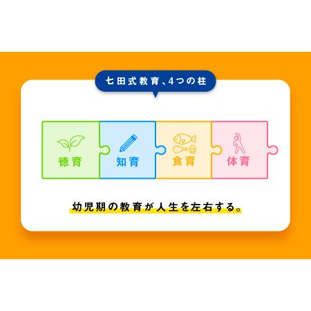 ふるさと納税 江津市限定返礼品 七田式プリントA 2歳半〜4歳 ｜しちだ
