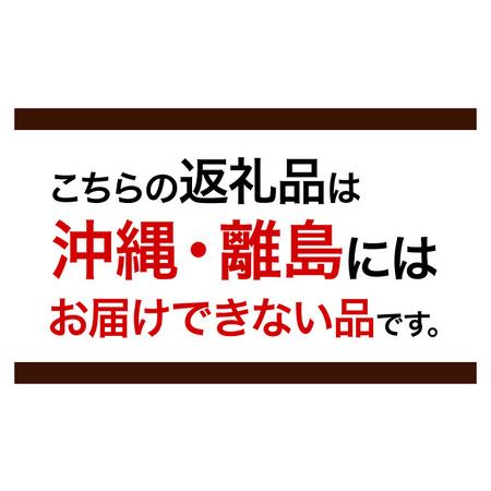 ふるさと納税 洋風 おせち ワインによく合うビストロおせち フルール 2個 20品 洋風おせち専門店 2024 洋風一段重 おせち料理 お節 お節料理 年末 .. 大阪府堺市 
