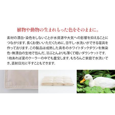 ふるさと納税 IWATA unbleached ダウンケット セミダブルサイズ ホワイトダック ダウン 羽毛ふとん 羽毛布団 AA071 滋賀県愛荘町の画像