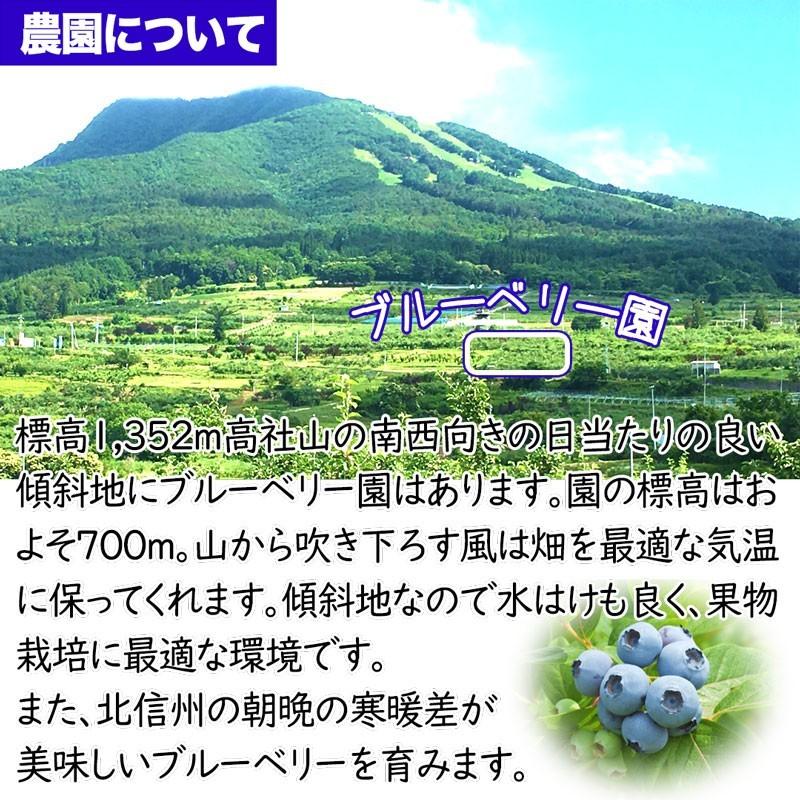志賀高原 ブルーベリー 1キロ 朝摘み 午後発送 500g 2パック 樹上熟成 生 ハイブッシュ 産地直送 長野県産 北信州 1kg 家庭用 贈答 Blueberry B 1kg フルプロ 通販 Yahoo ショッピング