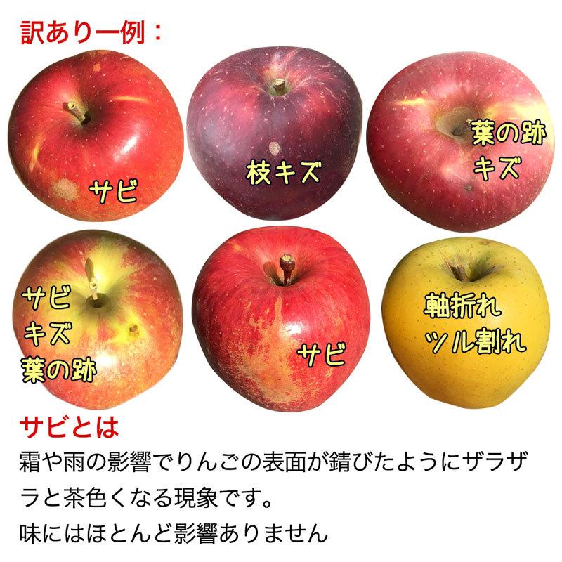 訳あり小玉】サンふじ 約10kg(36-56玉) 定番のりんご 1月発送 家庭用