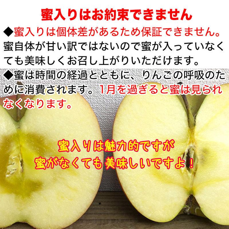 訳あり小玉】サンふじ 約10kg(36-56玉) 定番のりんご 1月発送 家庭用