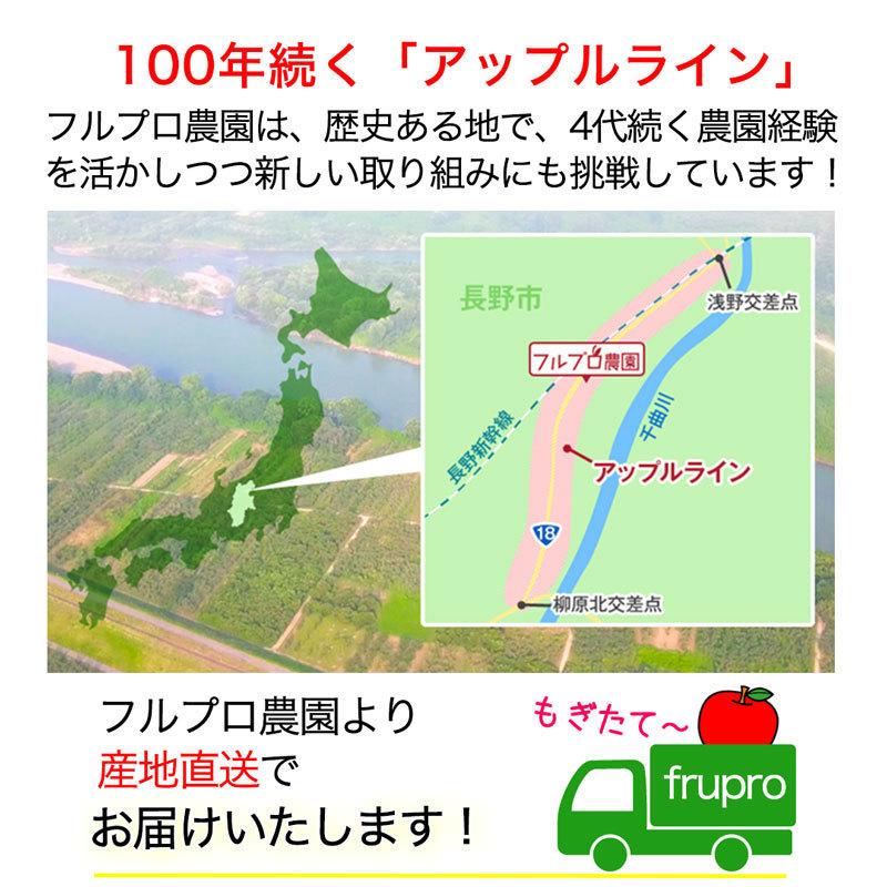 訳あり】サンふじ 約10kg(26-40玉) 定番のりんご 11月発送 家庭用 減