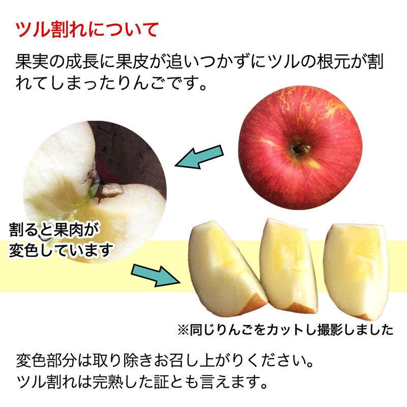訳あり】サンふじ 約3kg(7-14玉) 定番のりんご 12月発送開始 家庭用 減