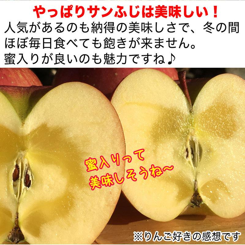 訳あり小玉】サンふじ 約3kg(10-14玉) 定番のりんご 1月発送 家庭用 減