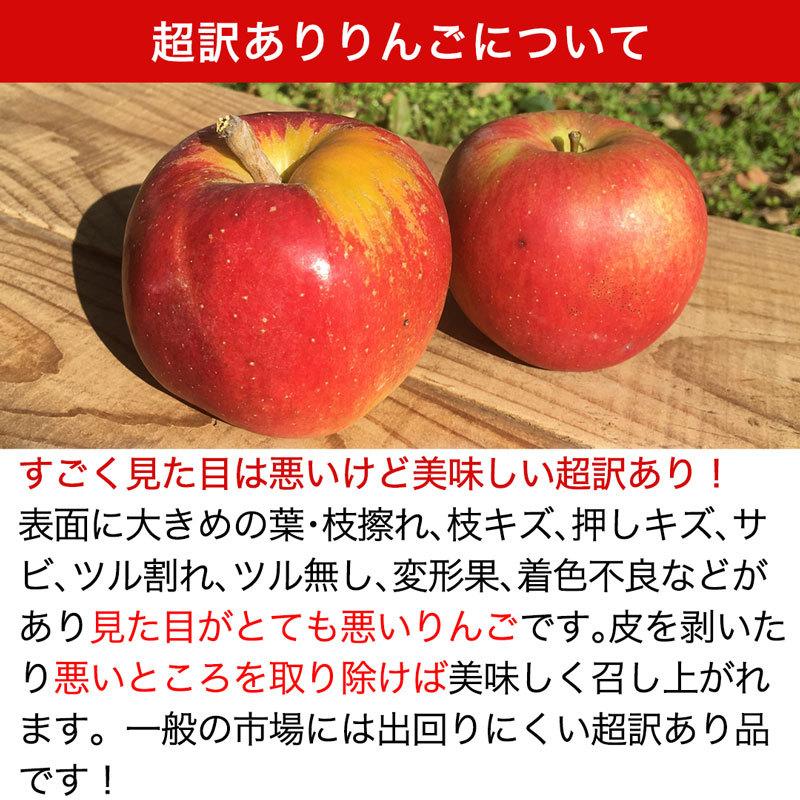 超訳あり】サンふじ 約3kg 7-14玉 傷サビあり 葉とらず 信州りんご 減農薬 長野県産 産地直送 送料無料 12月上旬より #NAF0C030 :fuji-c-3k:フルプロ - 通販 - Yahoo!ショッピング 超訳あり】サンふじ 約3kg 7-14玉 傷サビあり 葉とらず 信州りんご 減農薬 長野県産 産地直送 送料無料 12月上旬より #NAF0C030 :fuji-c-3k:フルプロ - 通販 - Yahoo!ショッピング
