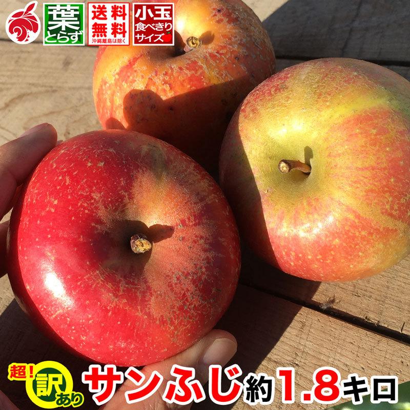 超訳あり小玉 りんご サンふじ 約1.8キロ 7-11玉 傷サビあり 葉とらず 信州りんご 減農薬 長野県産 産地直送 送料無料 1.8kg 12 月上旬より #NAF0F018 :fuji-f-018:フルプロ - 通販 - Yahoo!ショッピング 超訳あり小玉 りんご サンふじ 約1.8キロ 7-11玉 傷サビあり 葉とらず 信州りんご 減農薬 長野県産 産地直送 送料無料 1.8kg 12 月上旬より #NAF0F018 :fuji-f-018:フルプロ - 通販 - Yahoo!ショッピング