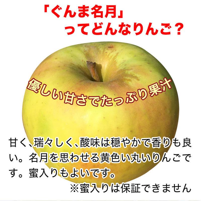 訳あり】ぐんま名月 約2.5kg 7-14玉 甘くてジューシーな希少りんご 11