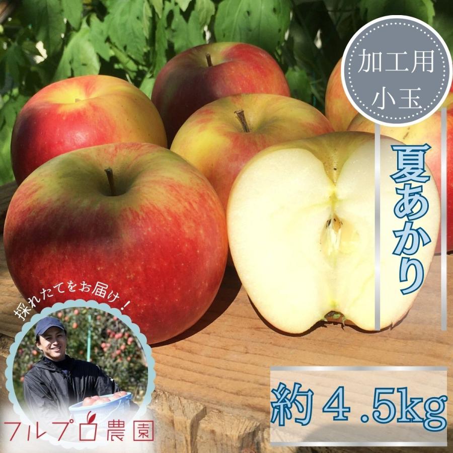 2本まで送料均一 丸島醤油 純正醤油 濃口 1.8L瓶×1本 マルシマ 発送重量 2.5kg 最安値挑戦 2本まで送料均一 丸島醤油 純正醤油 濃口 1.8L瓶×1本 マルシマ 発送重量 2.5kg 最安値挑戦